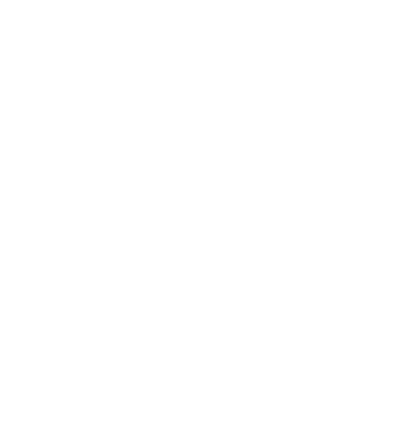 Trejo Pallets 2